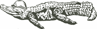 SCS alligator mascot illustration