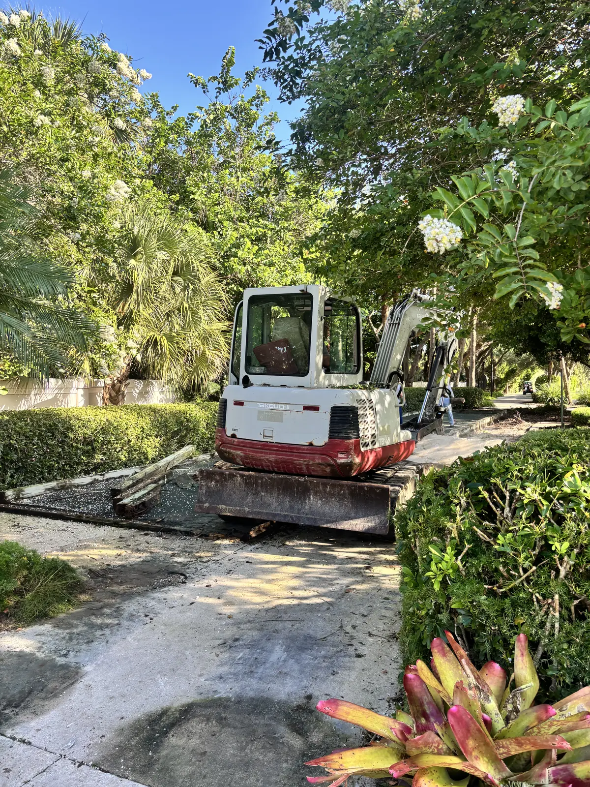 Mini excavator working a drive line between mature palms on a Southwest Florida site